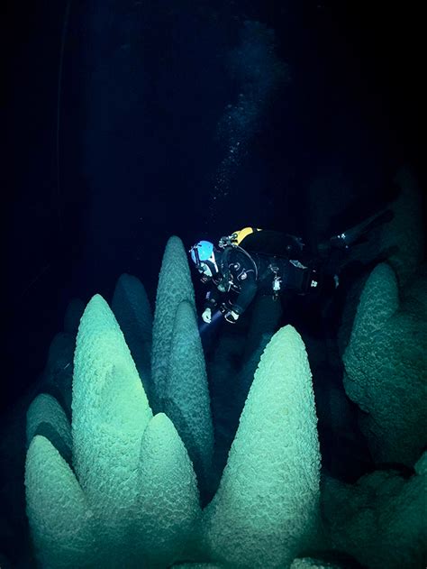 Bonito Caves: Cave Diving in Brazil | X-Ray Mag