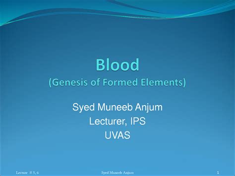 SOLUTION: 5 6 blood 2011 16 hematopoiesis leukopoiesis - Studypool