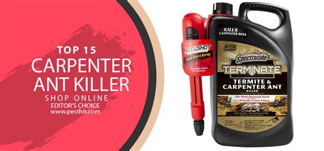 Best Carpenter Ant Killer | Top 15 Carpenter Ant Killer