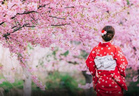 Cherry Blossom Festival Japan 2025: A Celebration of Beauty and Culture