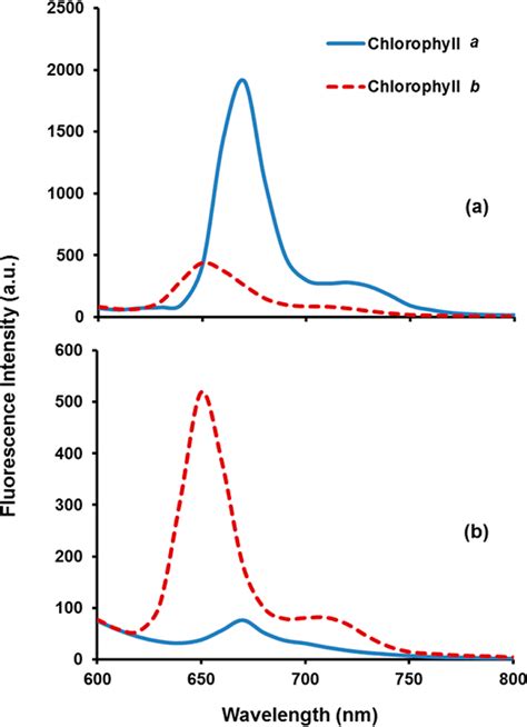 Fluorescence spectra of chlorophyll a (λ max 650 nm) and chlorophyll b... | Download Scientific ...