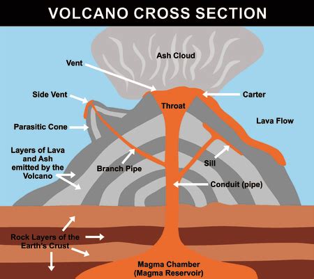 Vector of Volcano Cross Section - ID:72098100 - Royalty Free Image - Stocklib