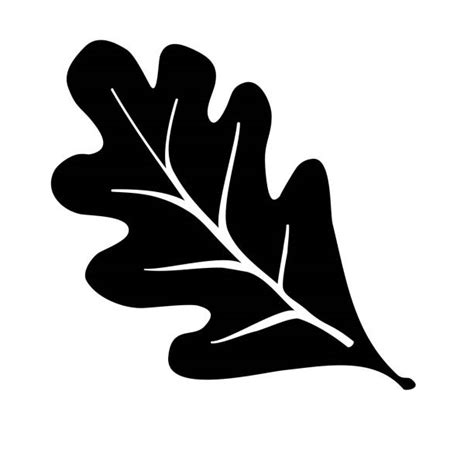 26,500+ Oak Leaf Stock Illustrations, Royalty-Free Vector Graphics ...