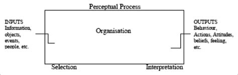 3.1. Model of the perceptual process | Download Scientific Diagram