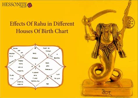 Effects of Rahu in Different Houses of Birth Chart -Hessonite.org.in