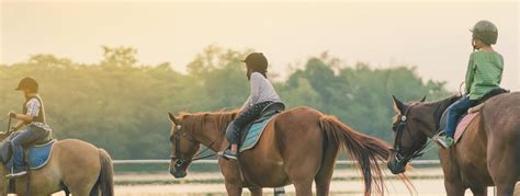 9 Top Places to Go Horseback Riding in California