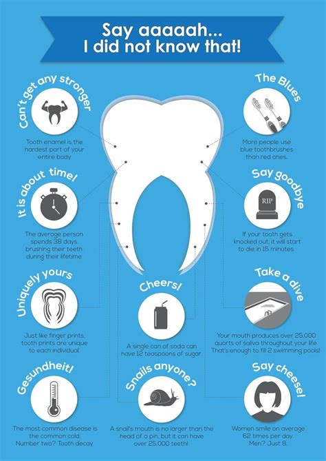 10 Cool Facts About Our Teeth | Dental fun facts, Dental facts, Dental fun