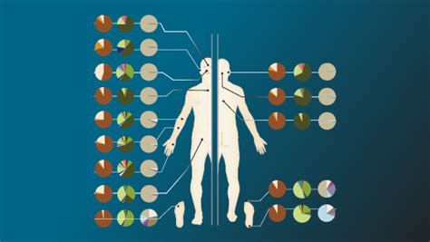 The human skin microbiome - HealthTopical