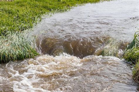 How To Stop Water Runoff From Neighbor's Yard - All Dry USA