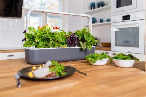 The Smart Garden 9 indoor gardening system | Click & Grow