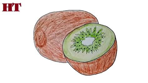 How to draw a kiwi fruit step by step | Easy drawings, Fruits drawing, Elephant drawing