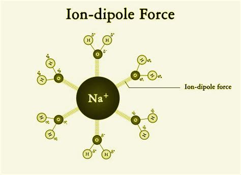 Explain ion-dipole interaction with suitable examples.