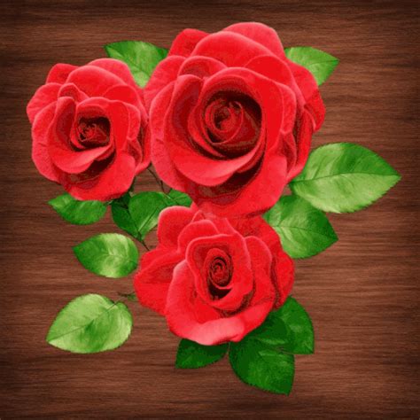 Animated Gif Flowers Rose