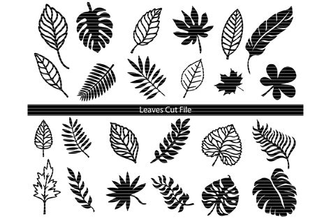 Leaves Silhouette Clip Art Bundle Graphic by MeshaArts · Creative Fabrica