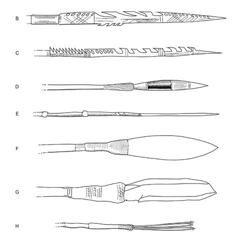 3 Woody species used in spear manufacture | Download Table