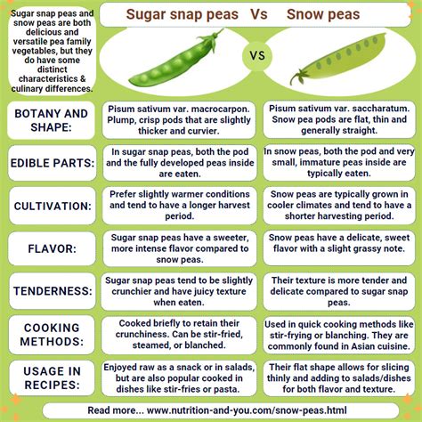 Snow peas Nutrition facts and Health benefits - BlogPedia