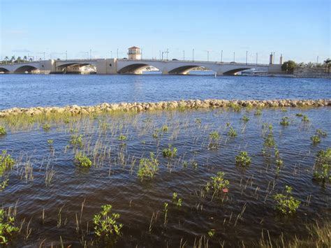 Lake Worth Beach City Limits: Flood-control water dumping hurting Lake Worth Lagoon - Sun Sentinel