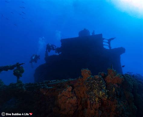 Scuba Diving Key Largo Florida | Dive Buddies 4 Life