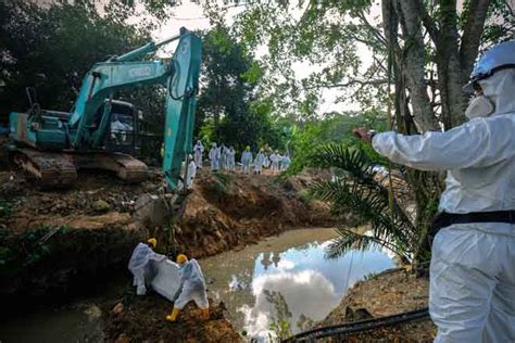 Penjenayah alam sekitar Sungai Kim Kim boleh dijejaki: Pakar | Utusan Borneo Online