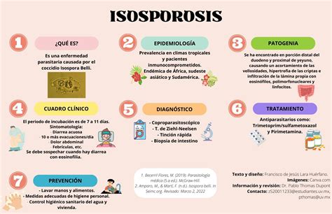 Parásitos que nos enferman: Isosporosis - Ciencia UNAM