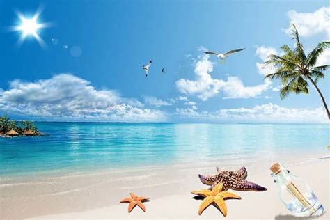 Tổng hợp hình ảnh biển đẹp nhất | Beach scenery, Scenery, Cheap canvas wall art