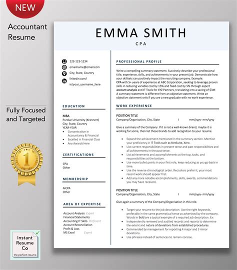 Accountant Resume CPA Professional Resume Template Creative - Etsy