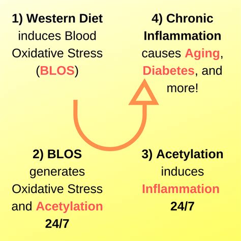 Learn How Oxidative Stress Impacts Aging in 2021 - Glixin