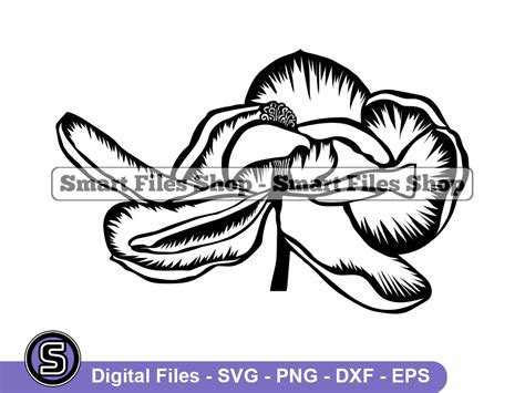 Magnolia Flower Bloom Svg Flower Svg Floral Svg Magnolia - Etsy