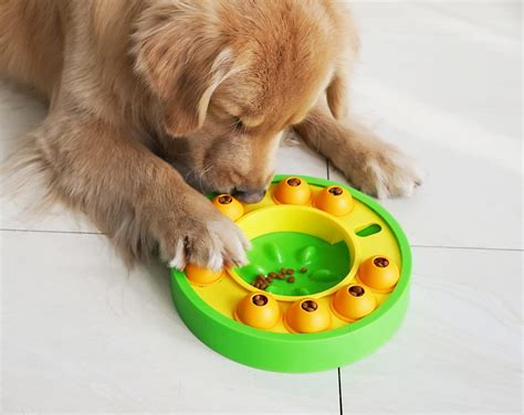 Puzzle Feeder Dog Toy – DogPackApp