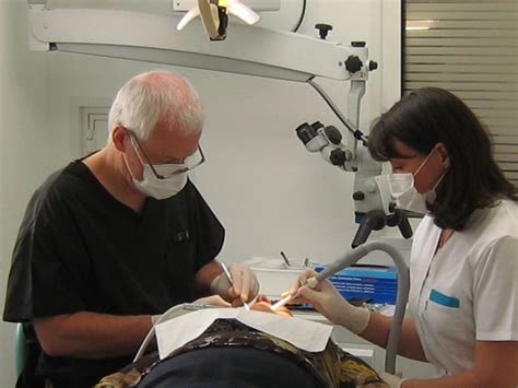 Cabinet | Dentiste Tours 37000 Cabinet dentaire des Docteurs GROS et ...