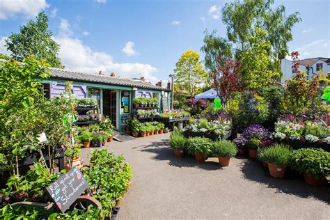 Best Garden Centres and Plant Shops in London | 24 Lush Places To Buy Plants