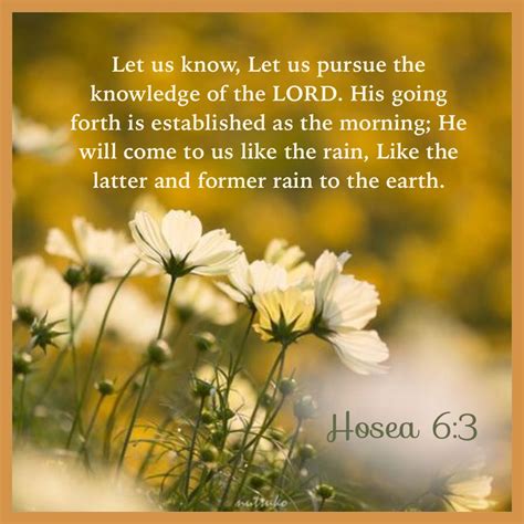 Hosea 6:3 Nice Words About Life, Bible Quotes, Bible Scriptures, Cool ...