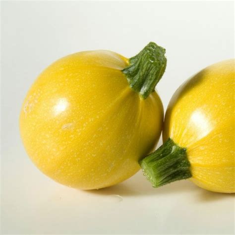 Yellow Round Squash - Zucchini Seeds