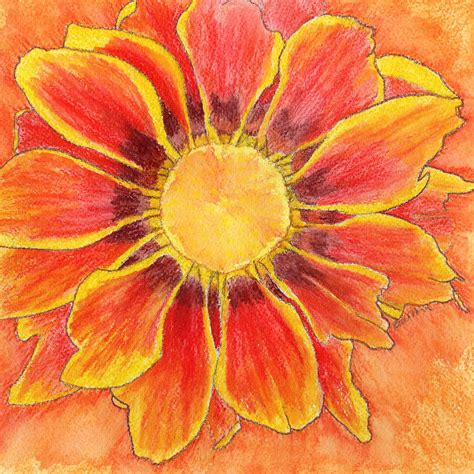 Fire Flower Drawing by Bari Titen - Fine Art America