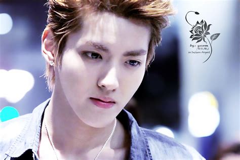 exo-m kris - KRIS Photo (33163969) - Fanpop