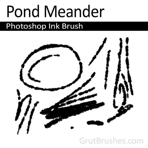 Pond Meander - Photoshop Ink Brush - Grutbrushes.com