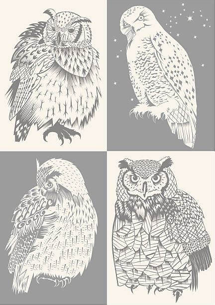 420+ Snowy Owl Stock Illustrations, Royalty-Free Vector Graphics & Clip Art - iStock