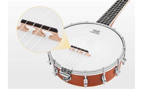 How Many Strings Does A Banjo Have?