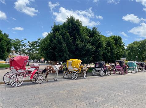 Tips for Visiting the Amusement Park With Kids - A Nation of Moms