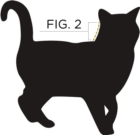 Download HD Measure From The Base Of Your Cat's Ears To Their Shoulder - Cat Vector Transparent ...