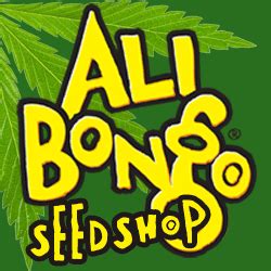 Ali Bongo Seeds Discounts & Deals | Discount on Seeds ...