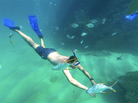 Cabo Snorkeling Tours - Best Tours in Cabo by Esperanza's Tours