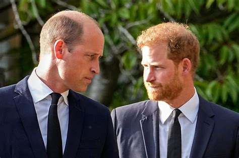 Everything royal pundits have said about Prince William and Prince Harry's reunion - Ontario News