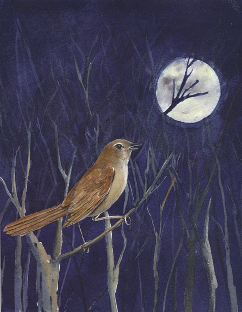 Rusty Harden: "Nightingale" Watercolor painting by Rusty Harden