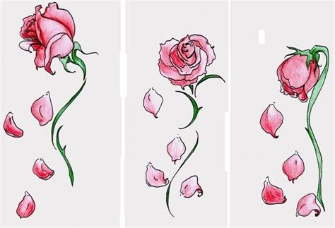 falling rose petals | Tattoos | Pinterest | Rose petals, Roses and Tatoos