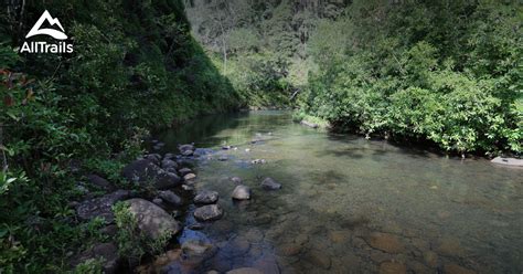 Best hikes and trails in Wahiawa | AllTrails