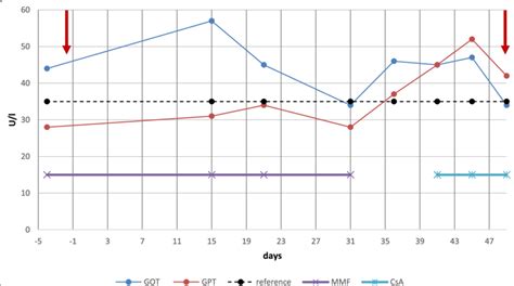 Course of liver enzymes GPT (ALT) and GOT (AST) over time. After the ...