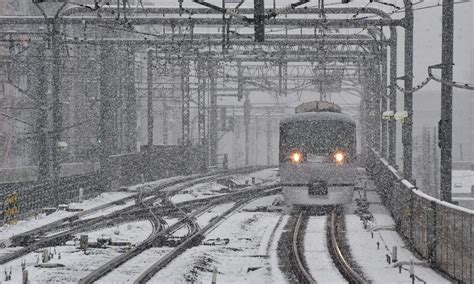 Tokyo sees first November snow in more than 50 years video - Strange Sounds