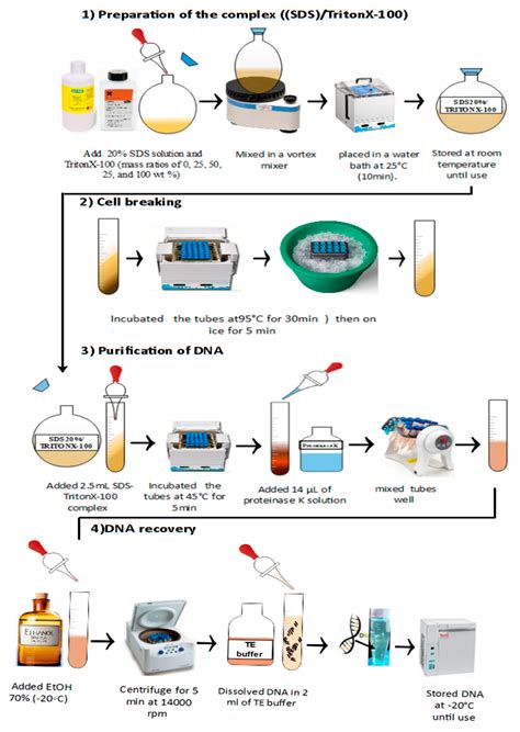 1 Triton X 100 Lysis Buffer Recipe - My Bios