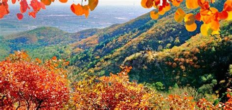 The 8 Most Breathtaking Fall Colour Viewing Spots in Beijing